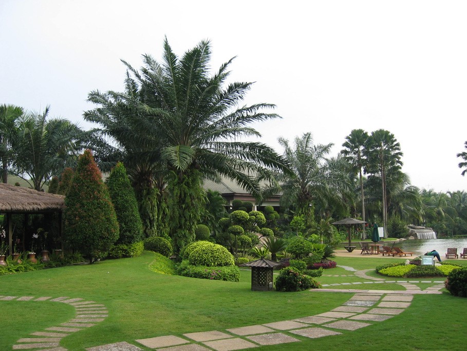 image003