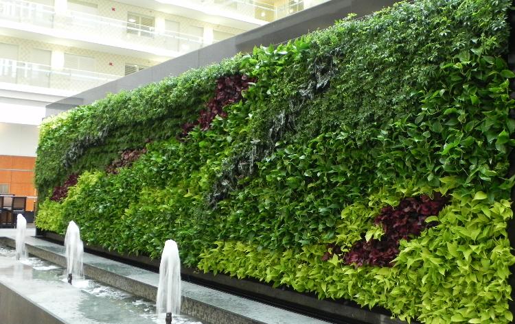 image003