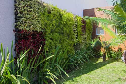 TƯỜNG CÂY ĐỨNG NGOÀI TRỜI