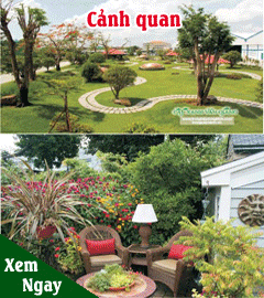 thi-cong-canh-quan-san-vuon