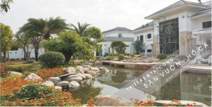 thi công thiết kế sân vườn biệt thự