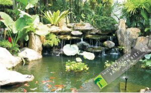 kết hợp đá trang trí cùng cây xanh tiểu cảnh giúp đa dạng hệ sinh thái của khu vườn