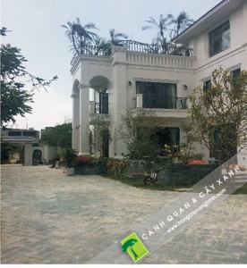 thi-cong-canh-quan-san-vuon-viet-tri