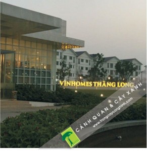 Thi công cây công trình tại Vinhomes Thăng Long