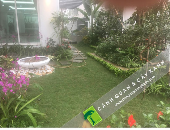 sân nhà theo phong cách hiện đại