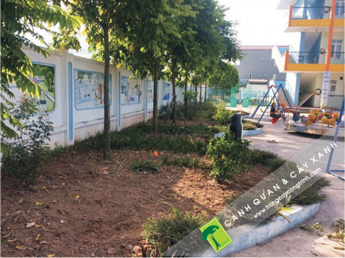 Bố trí hợp lý cảnh quan cây xanh khu công nghiệp