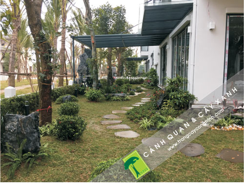 Thảm cỏ công trình giúp sân vườn gần gũi với thiên nhiên hơn