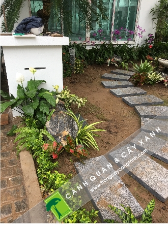 thiết kế cảnh quan sân vườn