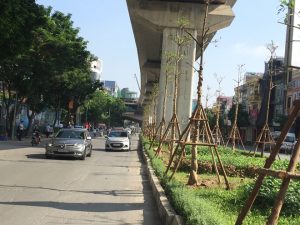 trồng cây công trình đô thị