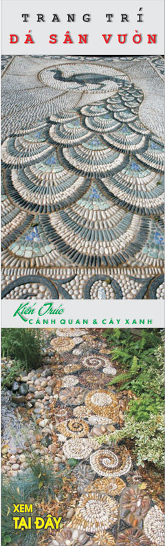trong-cay-hoa-hong