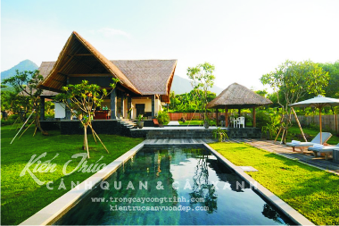 Cảnh quan bể bơi kết hợp sân vườn