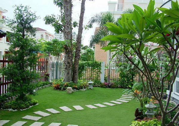 đặt cây xanh trong vườn nhà