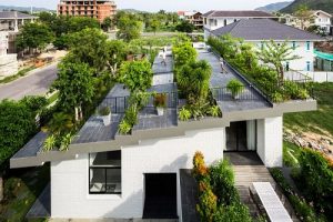 Thi công cây xanh trên sân thượng
