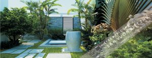 trồng cây sân vườn
