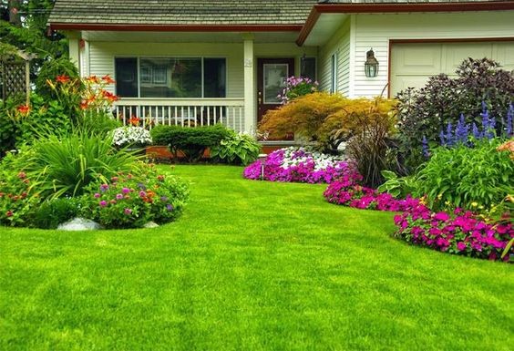 Chăm sóc cỏ cho lối đi sân vườn
